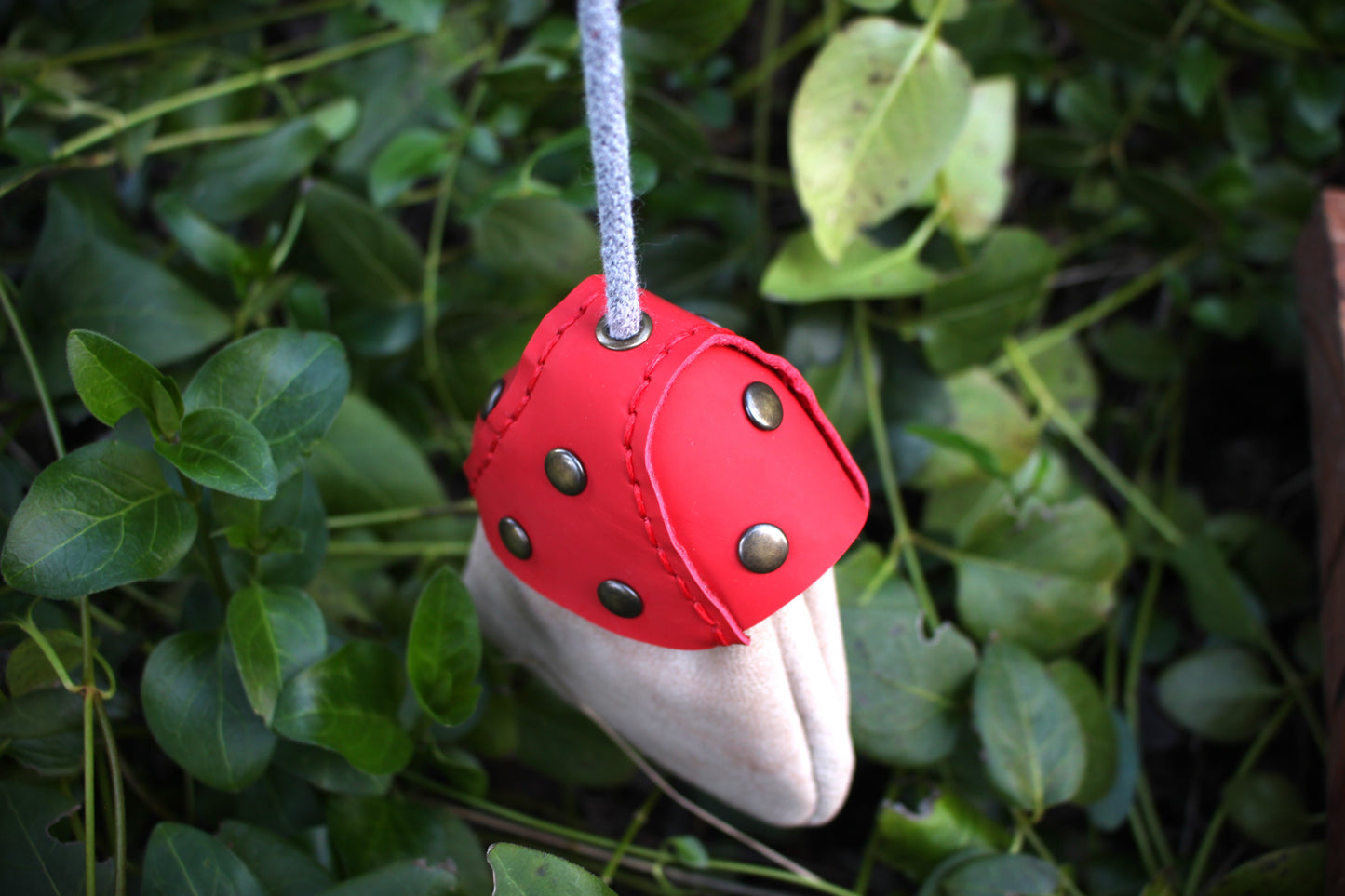 Mushroom Pocket Pouch