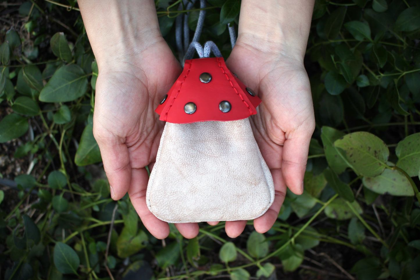 Mushroom Pocket Pouch